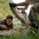 Natalie Portman in Annihilation.